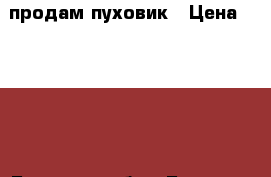 продам пуховик › Цена ­ 2 000 - Брянская обл., Брянск г. Одежда, обувь и аксессуары » Женская одежда и обувь   